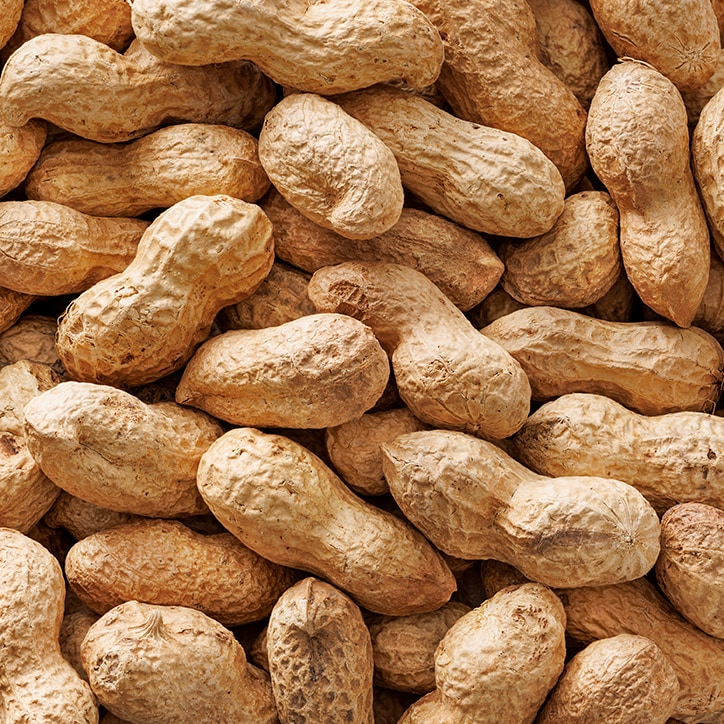 Holland & Barrett Roasted Monkey Nuts 300g